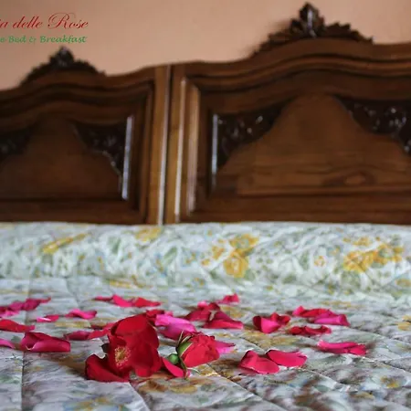 Fattoria Delle Rose-2