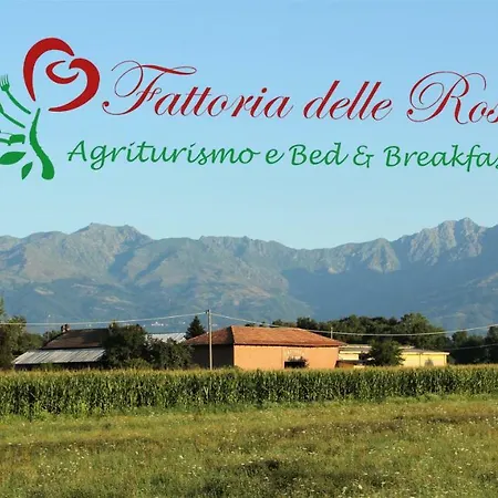 Fattoria Delle Rose-3